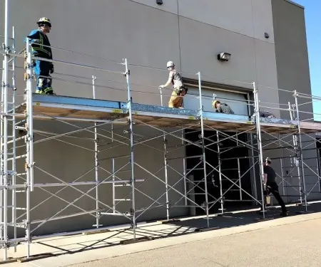 scaffold-training