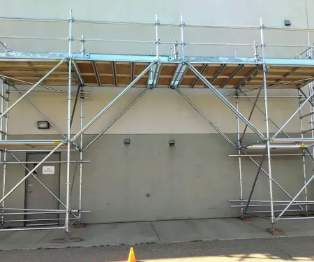 scaffold-training