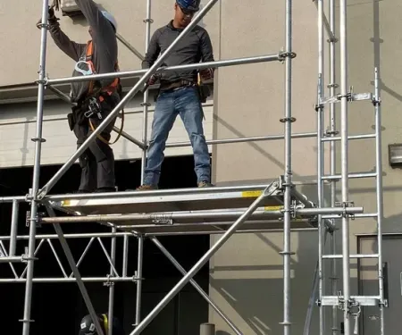 scaffold-training